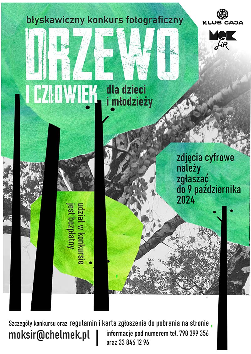 konkurs drzewo plakat maly