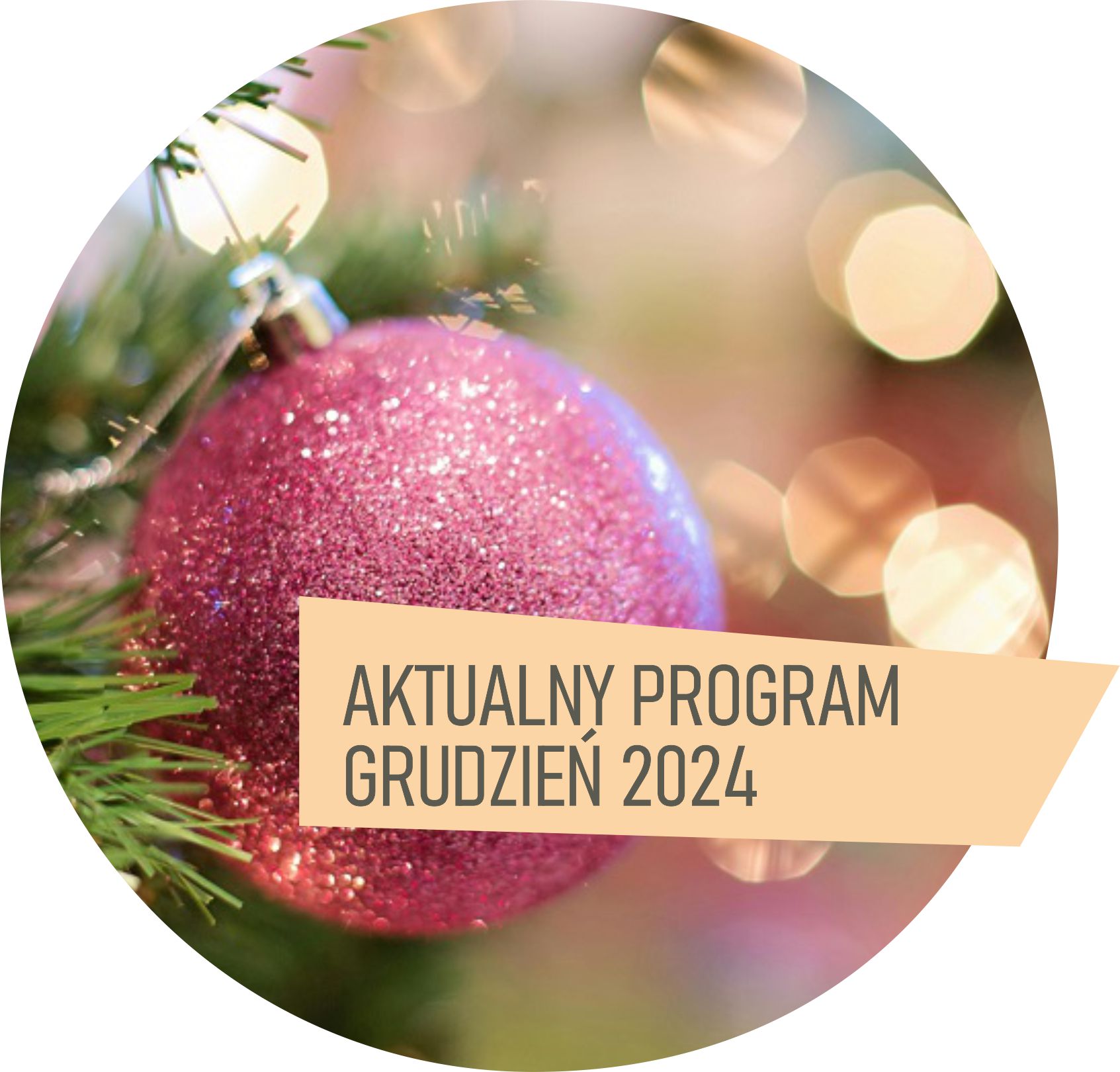 PROGRAM GRUDZIEN