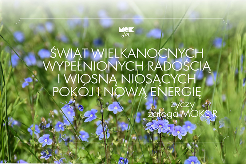 WESOLYCH1
