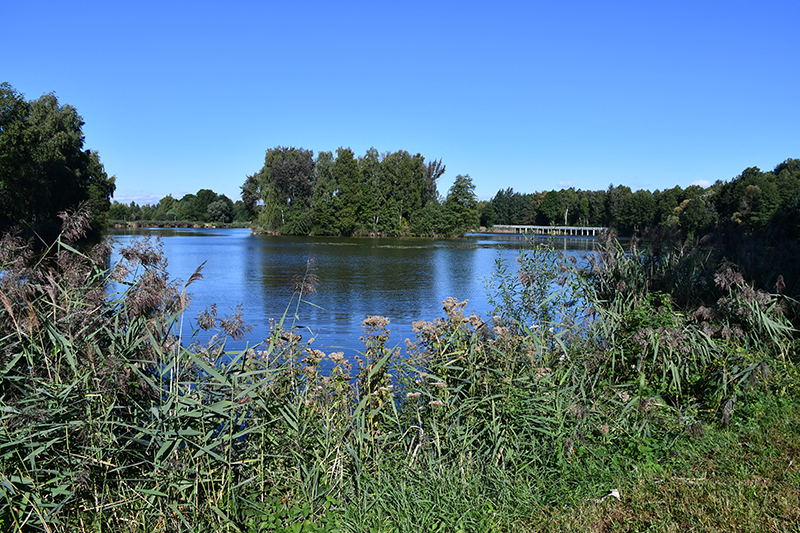 propozycje programowe wrzesien 2025