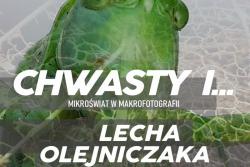 Chwasty i... wystawa makrofotografii Lecha Olejniczaka