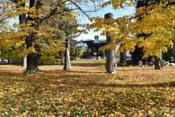 Propozycje programowe - listopad 2025