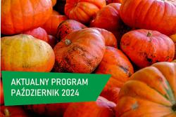 Propozycje programowe październik 2024