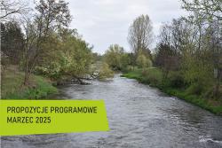 Programowe propozycje marzec 2025