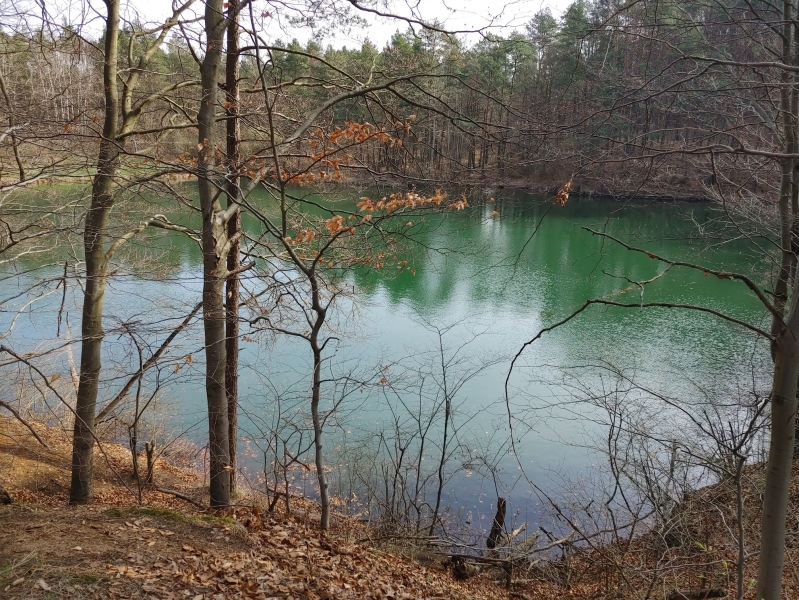 20250405_102013_HDR_1