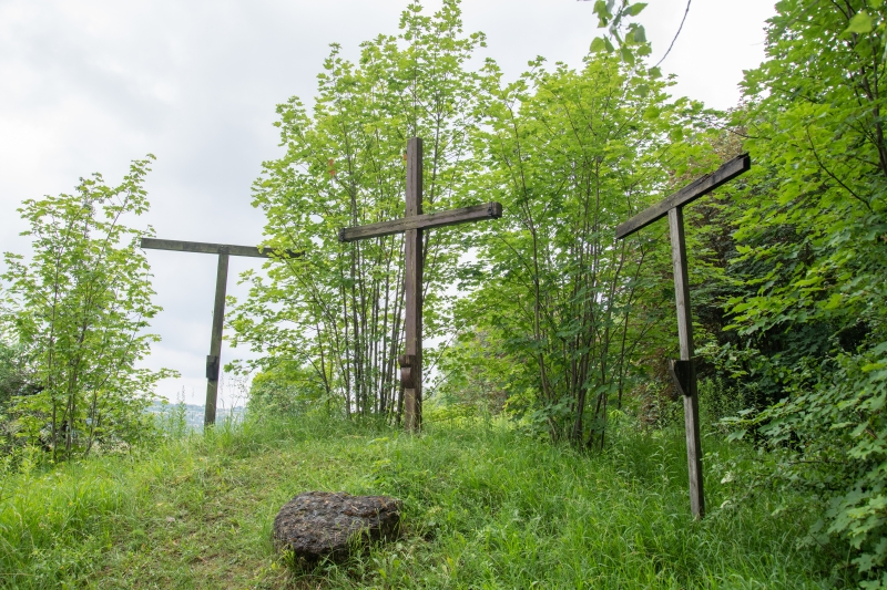 _DSC0241_1
