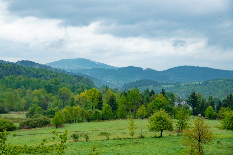 _DSC0330_1