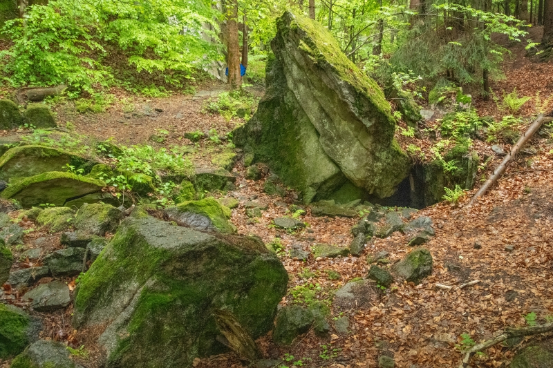 _DSC0479_1