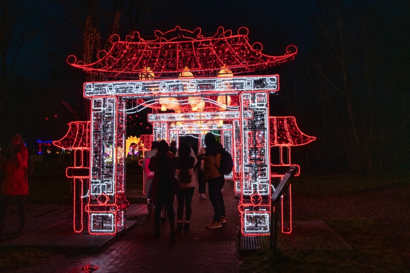 _DSC0720_1