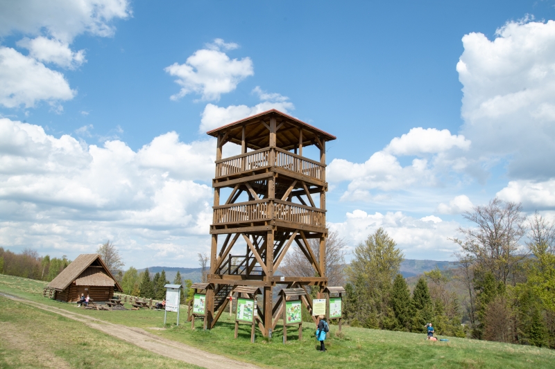 _DSC0842_1