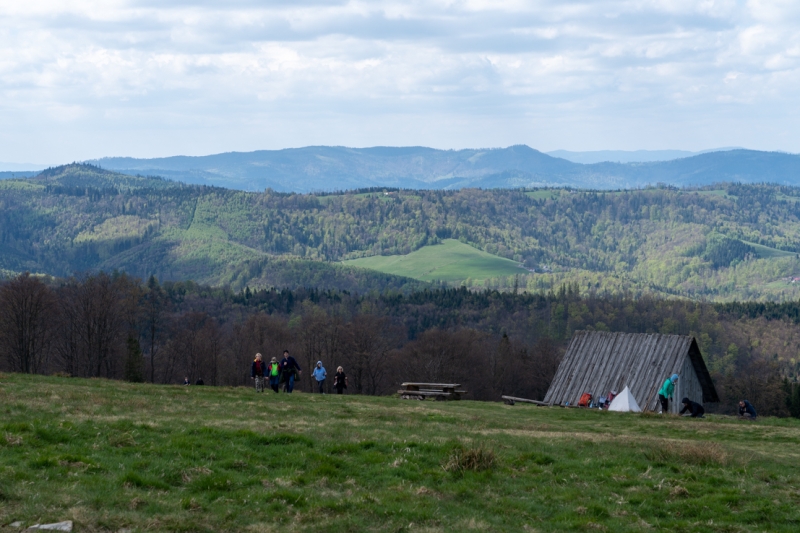 DSC09795_1