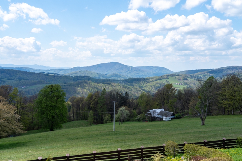 DSC09828_1