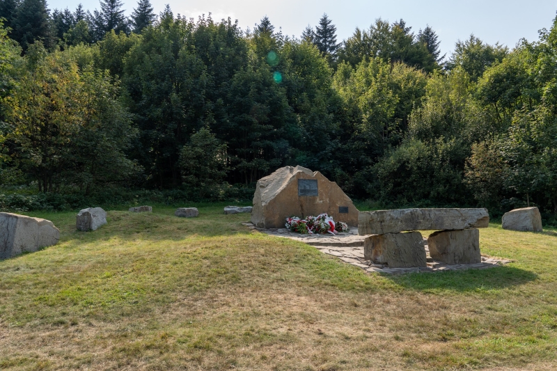 _DSC1291_14