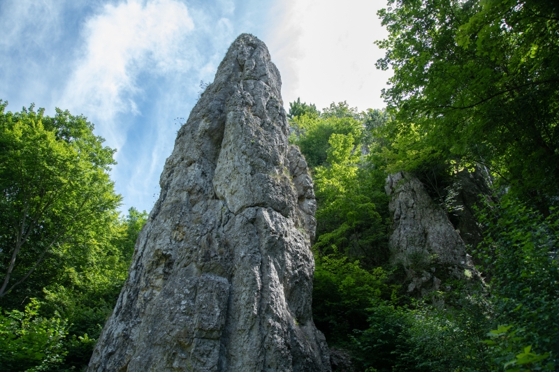 _DSC1857_1