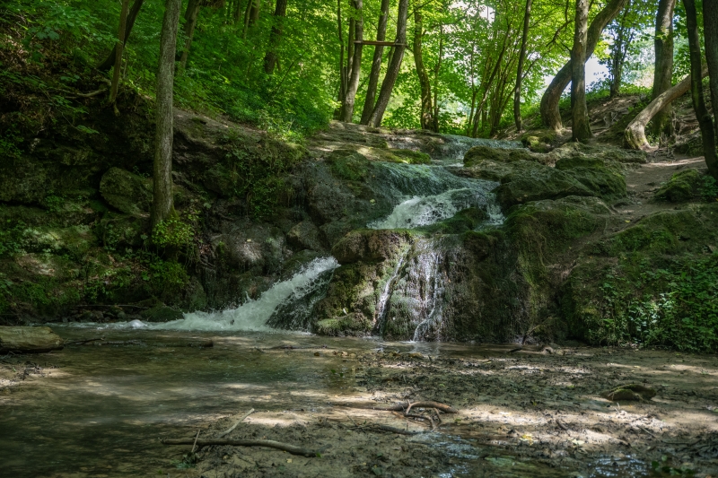_DSC1864_1