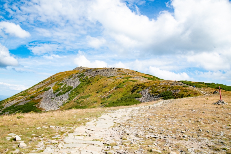 _DSC2170_1