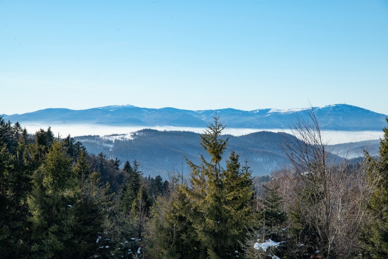 _DSC2308_1