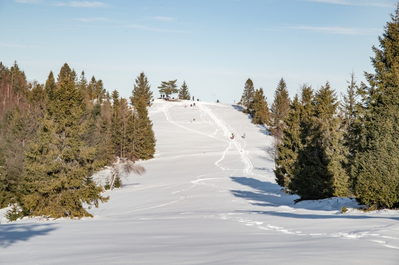 _DSC2371_1