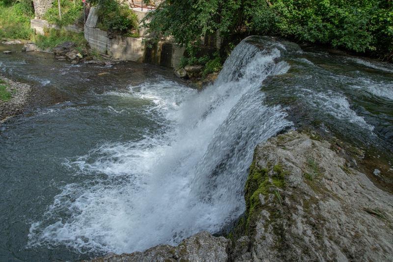 _DSC4534_1