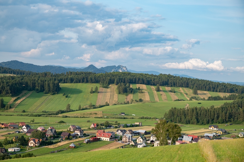 _DSC4566_1