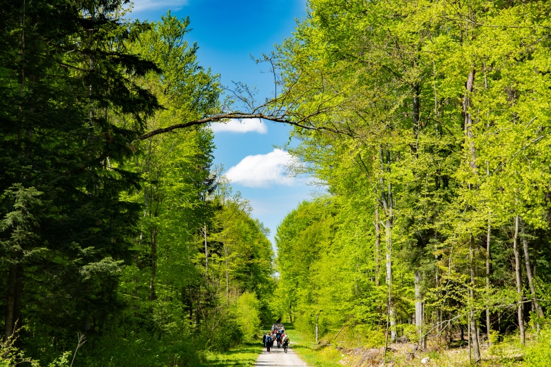 _DSC4736_1
