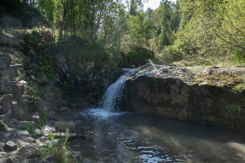 _DSC4822_1
