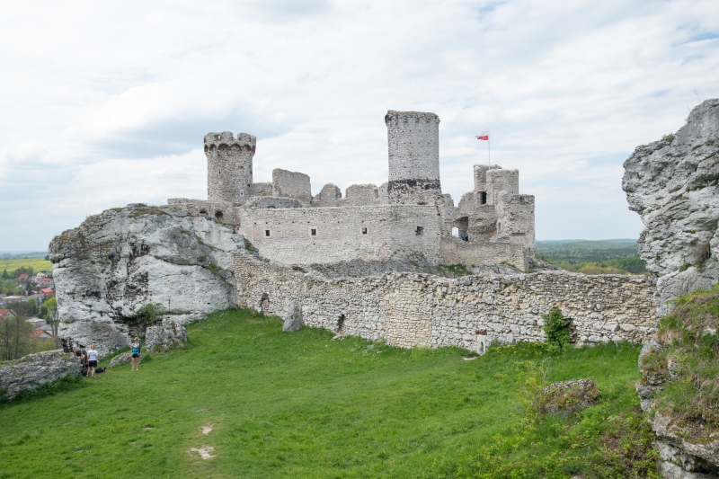 _DSC4966_1