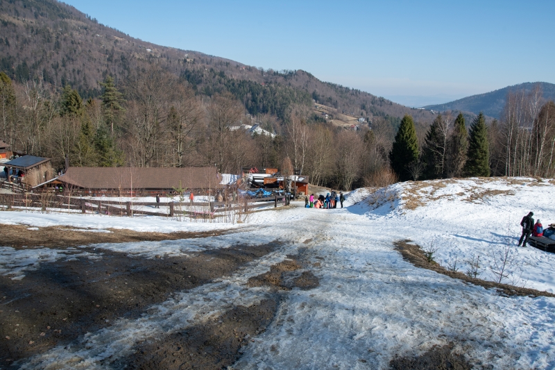 _DSC5108_1