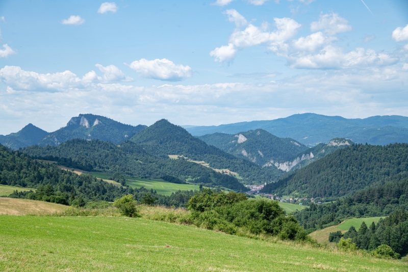 _DSC5494_1