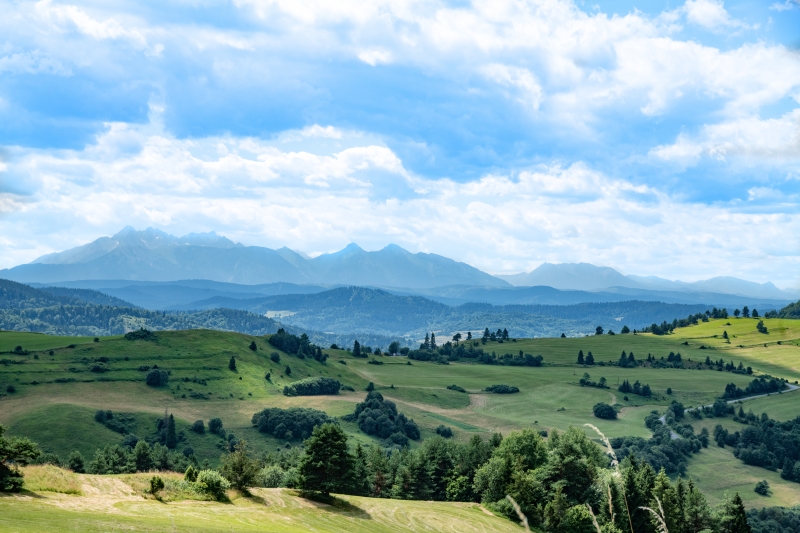 _DSC5549_1