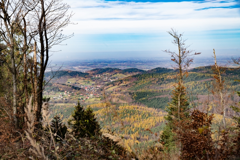 _DSC5635_1