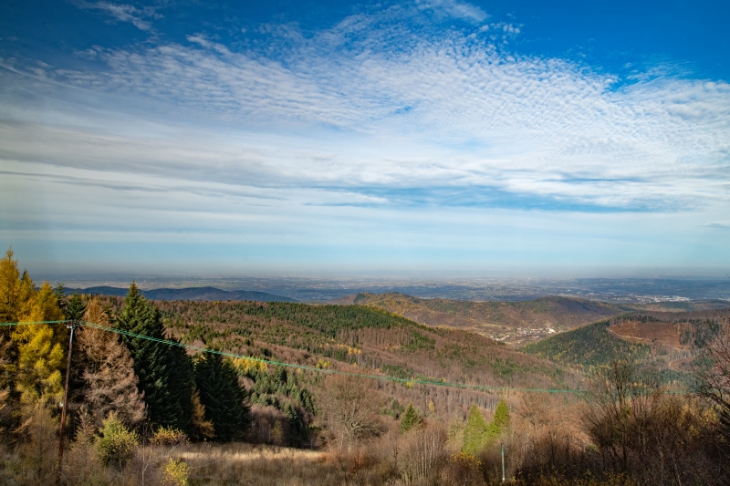 _DSC5673_1