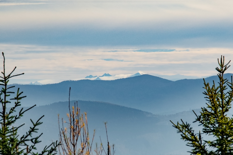 _DSC5693_1