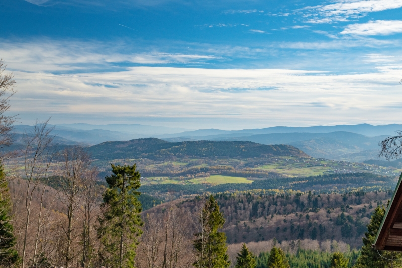 _DSC5716_1