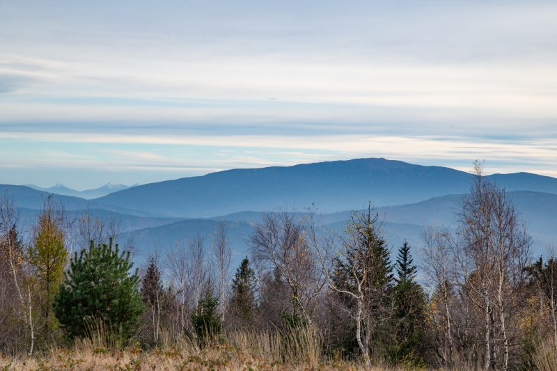 _DSC5932_1