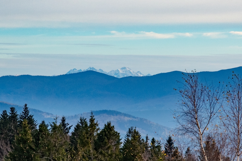 _DSC5933_1