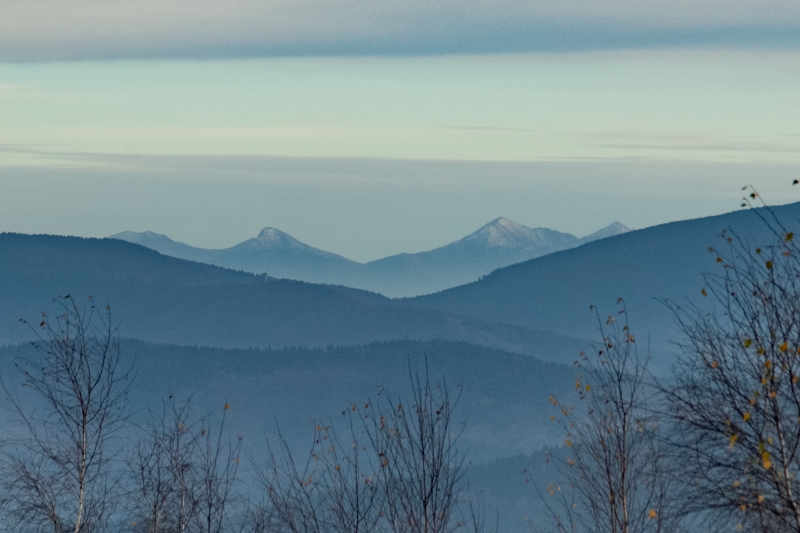_DSC5953_1