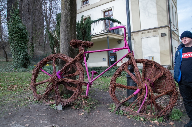 _DSC6330_1