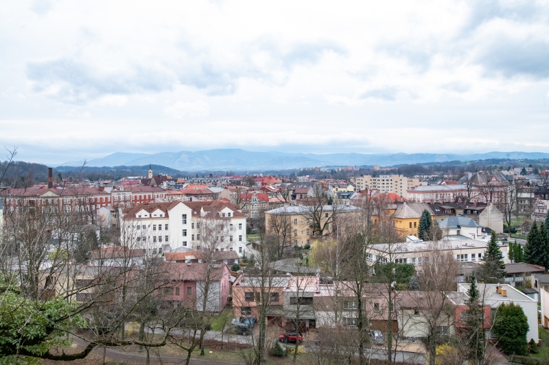 _DSC6365_1