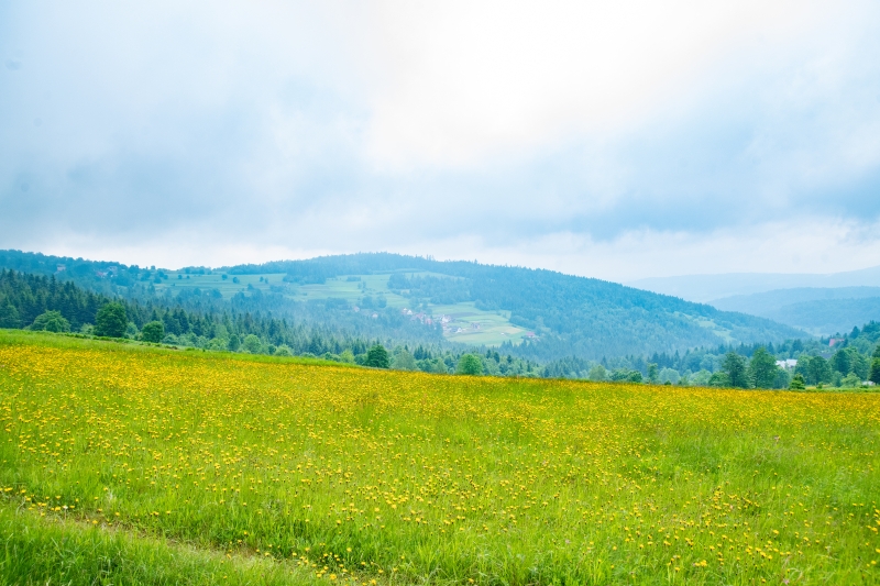 _DSC7090_1