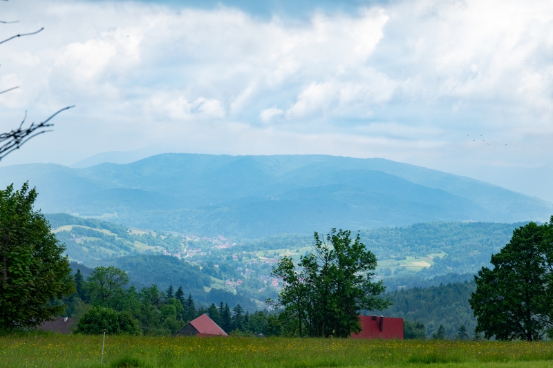 _DSC7119_1