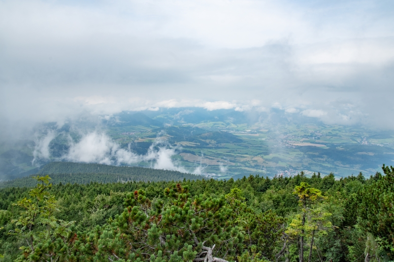 _DSC7358_1