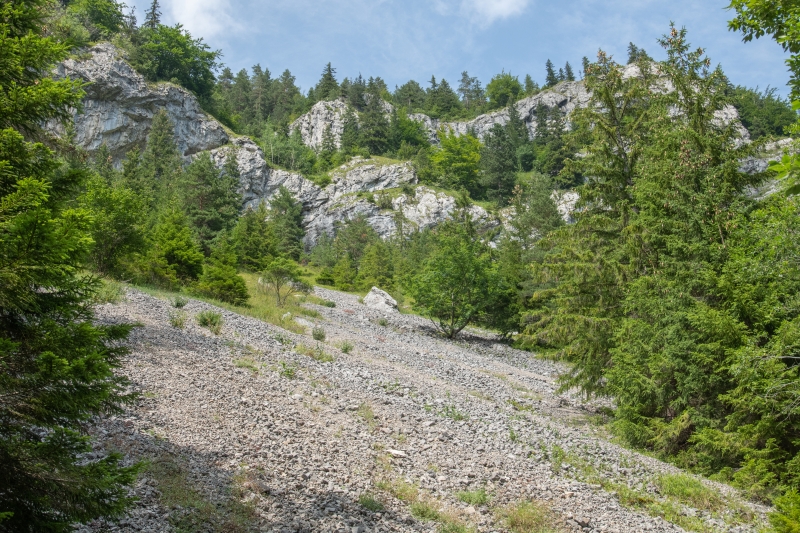 _DSC7407_1