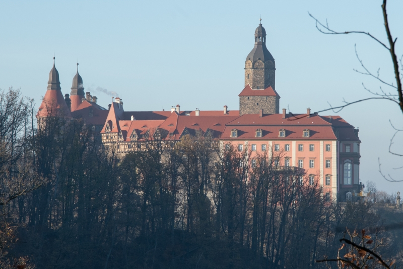 _DSC8066_1
