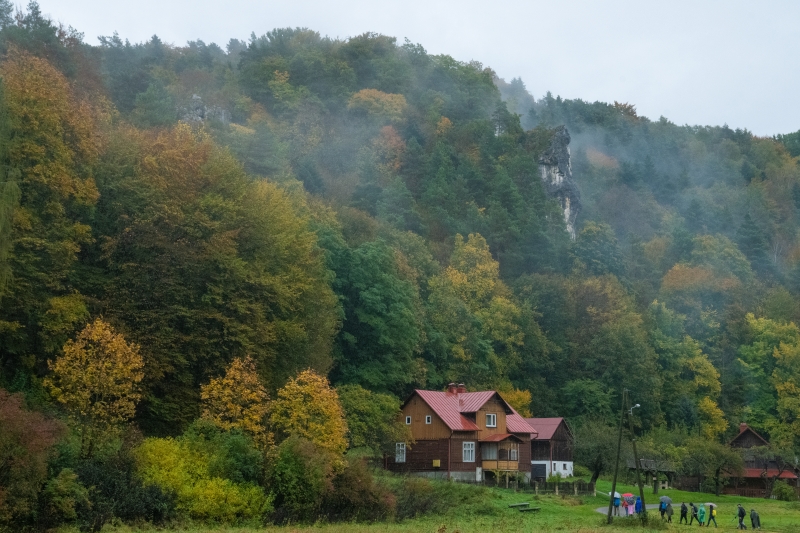 _DSC8201_1