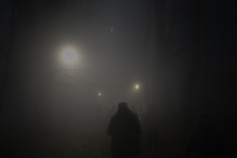 _DSC8306_1