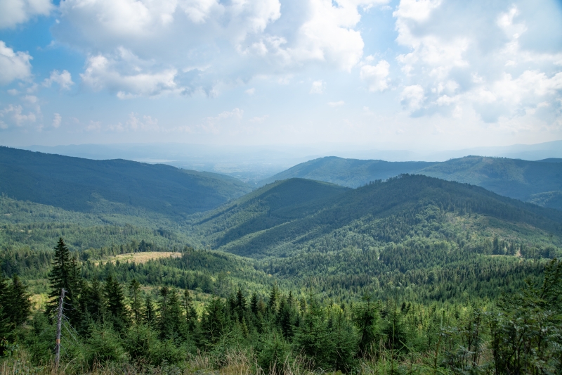 _DSC8486_1
