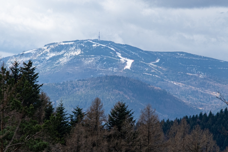 _DSC8565_1