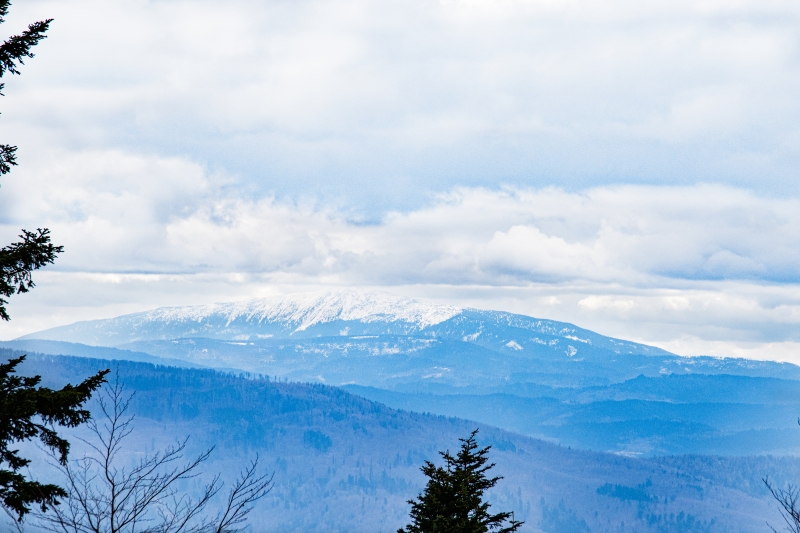 _DSC8617_1