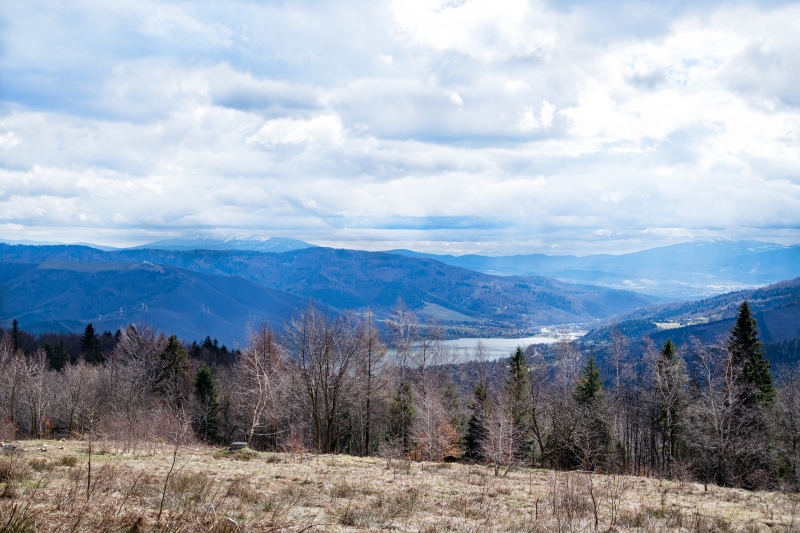 _DSC8670_1